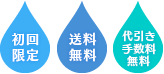 初回限定・送料・代引き手数料無料