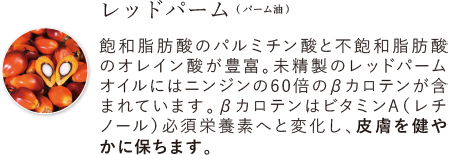 レッドパーム