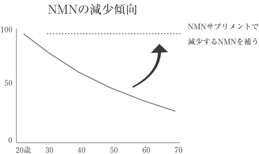 加齢とともに減少するNMNのグラフ
