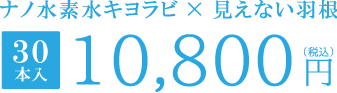 30本入り 10,800円