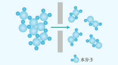 水分子